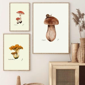 Mushroom Prints: Botanical Fungi Art, Forager Kitchen Decor (Digital Download) image 10