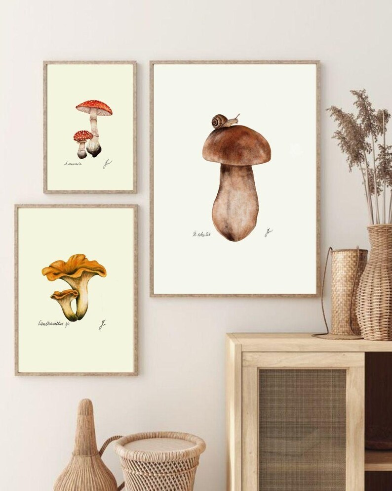 Mushroom Prints: Botanical Fungi Art, Forager Kitchen Decor (Digital Download) image 10