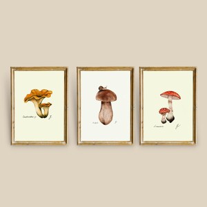 Mushroom Prints: Botanical Fungi Art, Forager Kitchen Decor (Digital Download) image 2
