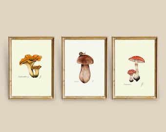 Mushroom Prints: Botanical Fungi Art, Forager Kitchen Decor (Digital Download)