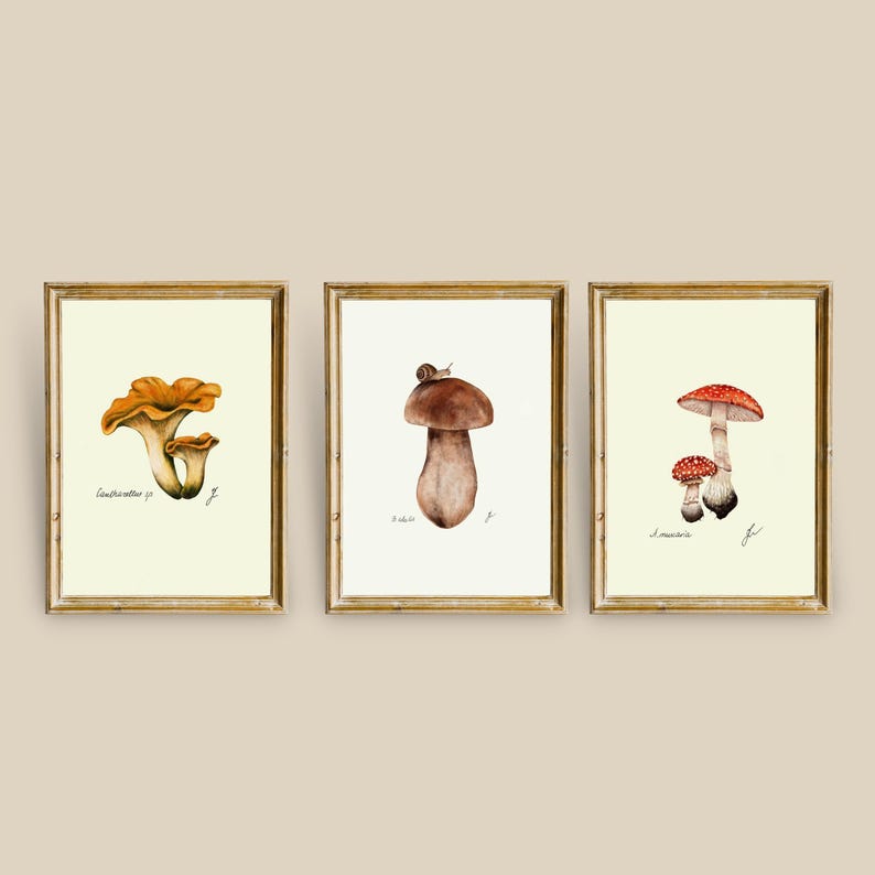 Mushroom Prints: Botanical Fungi Art, Forager Kitchen Decor (Digital Download) image 2