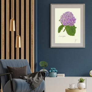 Hortensia print in a white frame with passpartout hanging on a blue wall