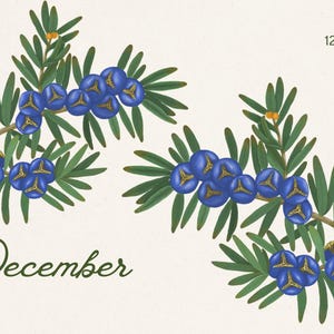 2026 Botanical Wall Calendar | Art Nouveau Floral Print (Digital Download) image 11