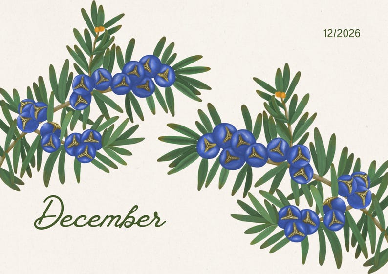 2026 Botanical Wall Calendar | Art Nouveau Floral Print (Digital Download) image 11
