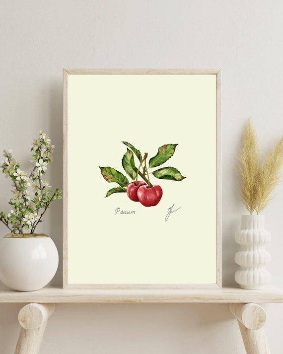 Cherry Botanical Illustration Print: Vintage Kitchen Wall Art (Digital Download)