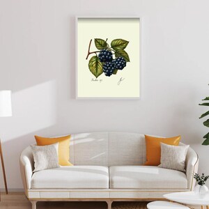 Botanical Fruit Prints: Kitchen Dining Room Wall Art (Digital Download) image 13