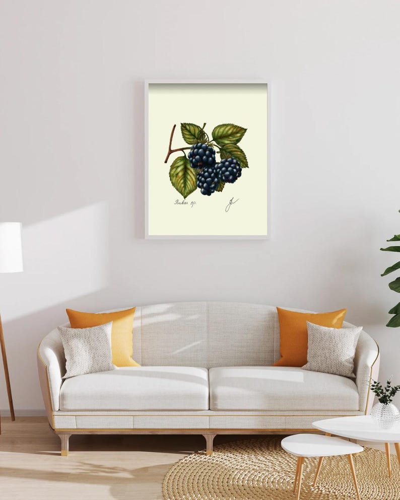 Botanical Fruit Prints: Kitchen Dining Room Wall Art (Digital Download) image 13