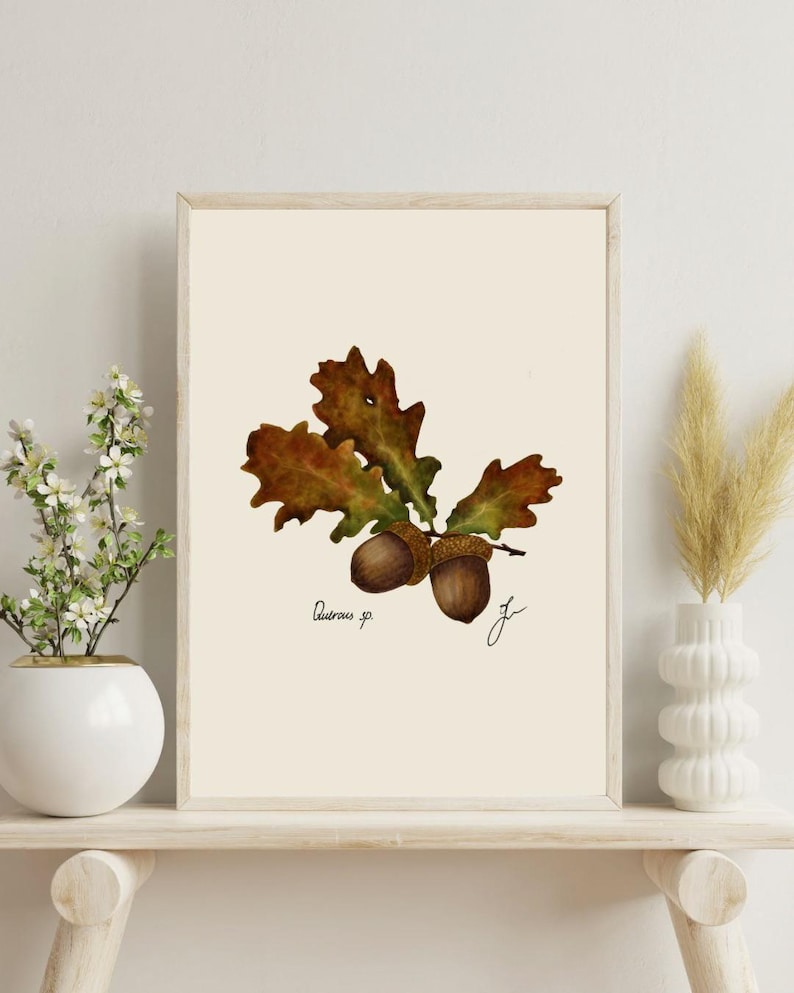Quercus print on a white shelf next to two white vases and a white background