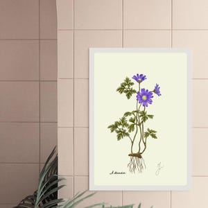 Anemone print in a white frame on a tailed wall