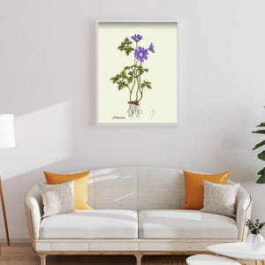 Anemone print in a white framed print on a white wall above a white couch