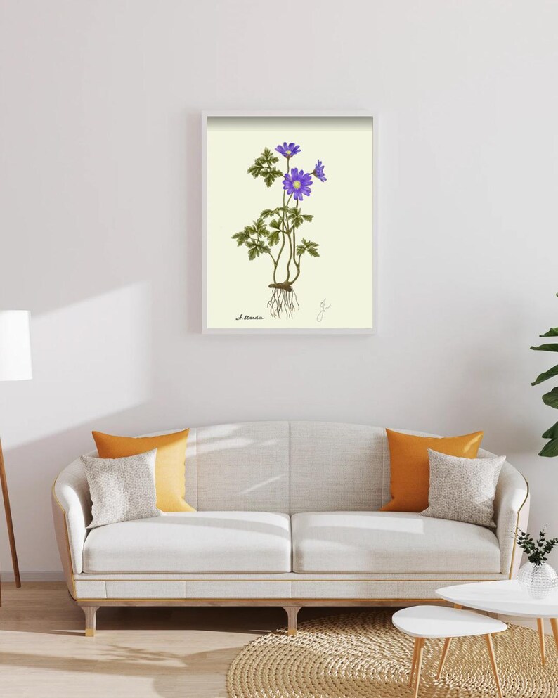 Anemone print in a white framed print on a white wall above a white couch