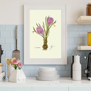 Crocus print in a white frame on a kitchen wall