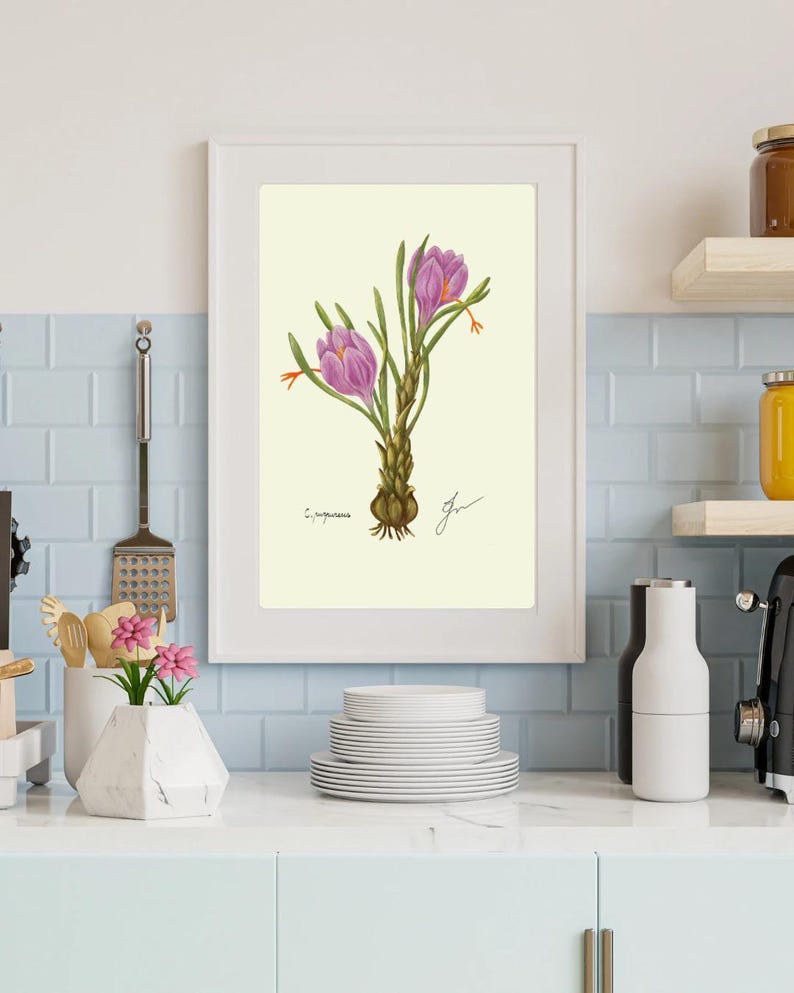 Crocus print in a white frame on a kitchen wall