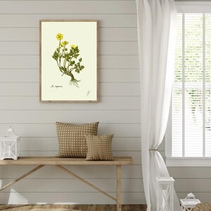 Ranunculus print hanging on a wooden cabin wall above a bench with two brown pillows