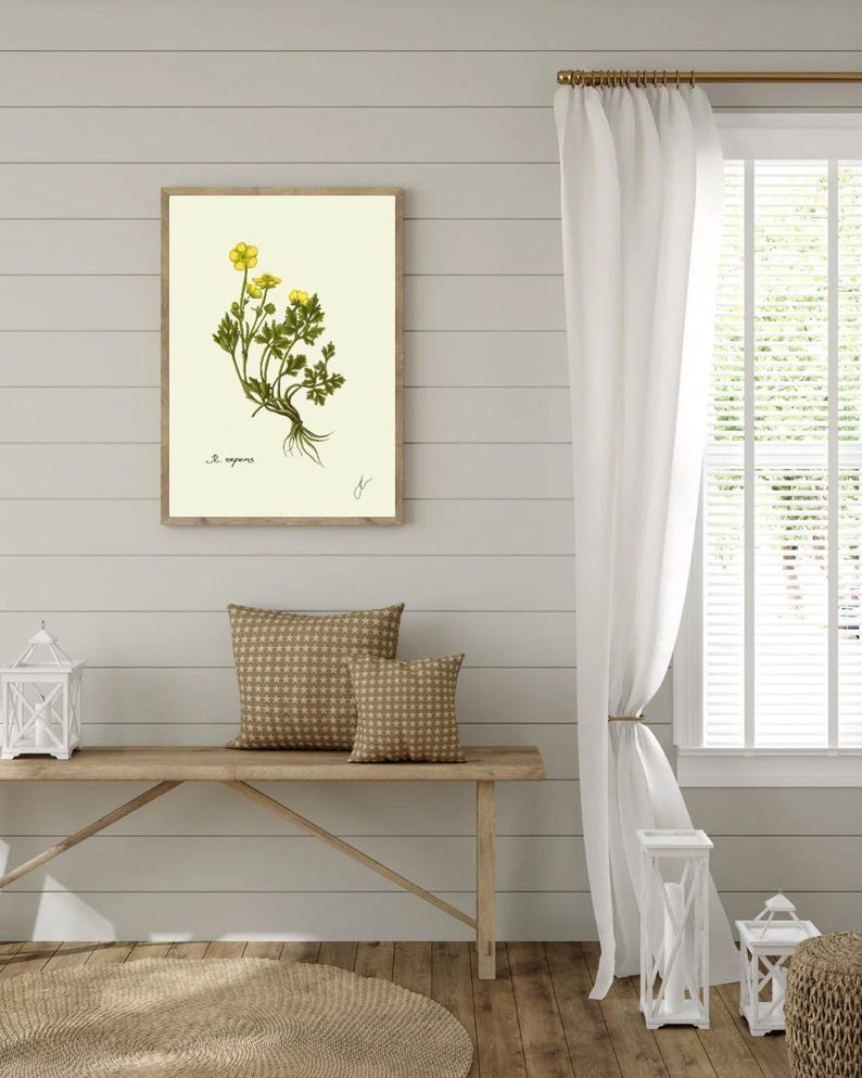 Ranunculus print hanging on a wooden cabin wall above a bench with two brown pillows