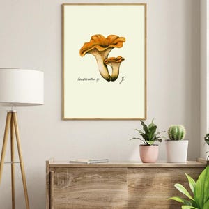 Chanterelle print in a wooden frame hanging on a white wall