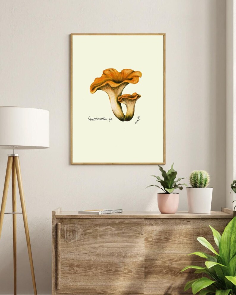 Chanterelle print in a wooden frame hanging on a white wall