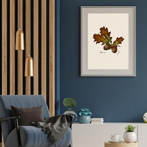 Quercus print in a white frame with passpartout hanging on a blue wall
