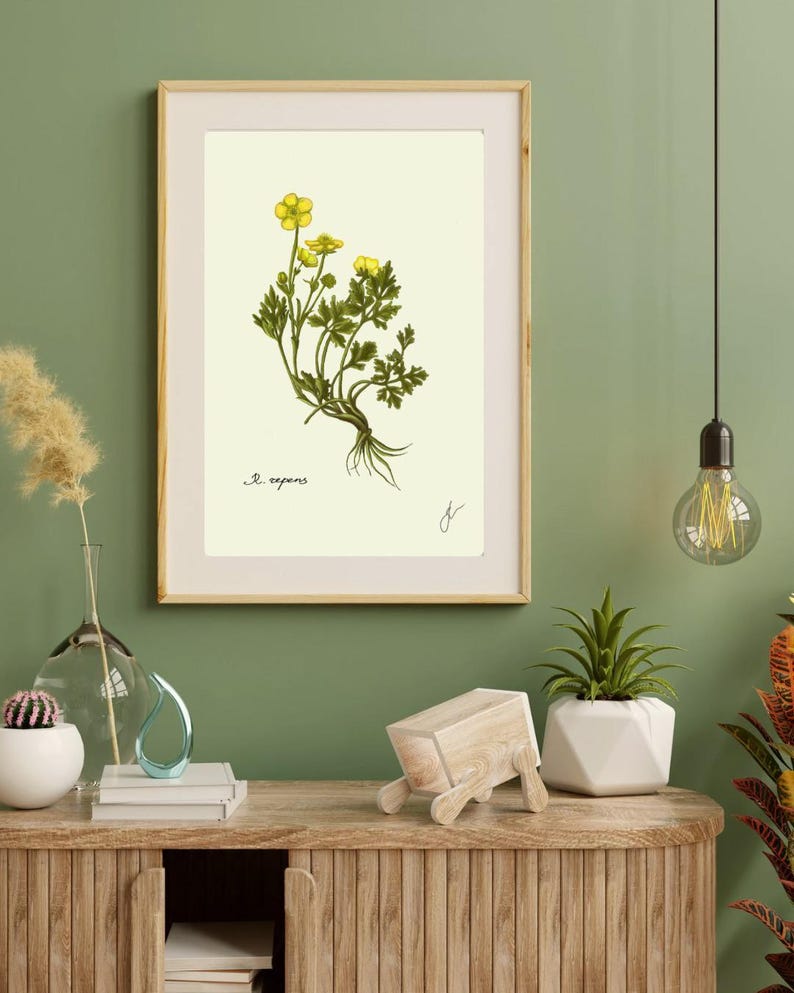 Ranunculus print in a wooden frame with white passpartout hanging on a green wall above the dresser