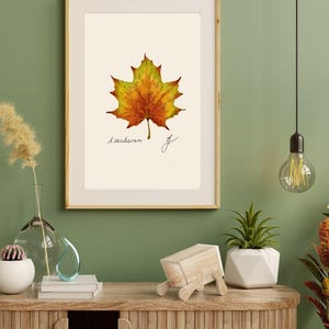 Acer print in a wooden frame with white passpartout hanging on a green wall above the dresser