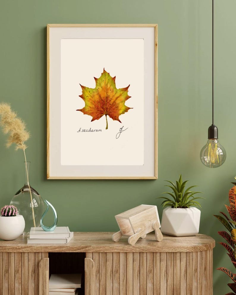 Acer print in a wooden frame with white passpartout hanging on a green wall above the dresser