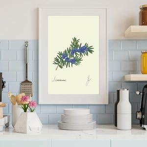 Juniper print in a white frame on a kitchen wall
