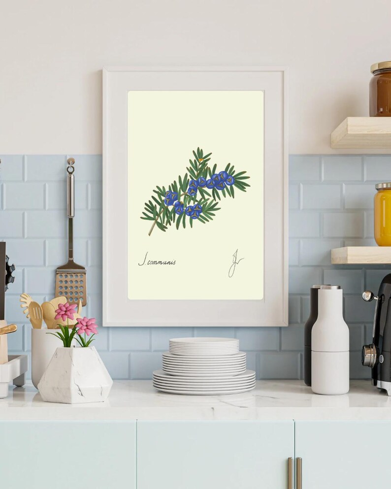Juniper print in a white frame on a kitchen wall