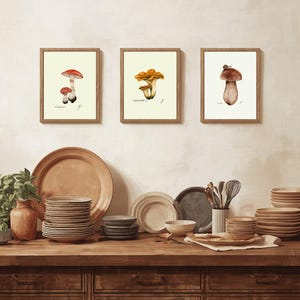 Mushroom Prints: Botanical Fungi Art, Forager Kitchen Decor (Digital Download) image 11
