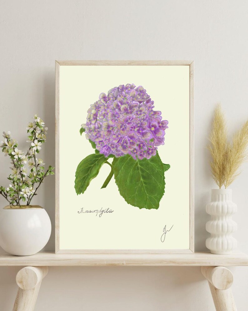 Hortensia print on a white shelf next to two white vases and a white background