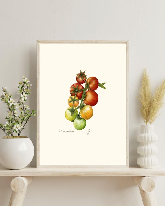Cherry Tomato Botanical Print: Kitchen Garden Art (Digital Download