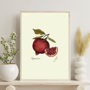 Vintage Pomegranate Botanical Print: Kitchen Wall Art (Digital Download)
