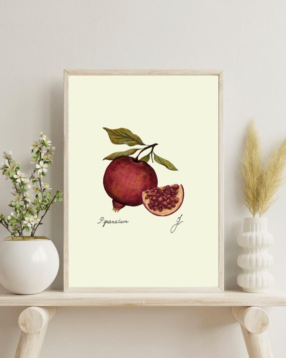Vintage Pomegranate Botanical Print: Kitchen Wall Art (Digital Download)