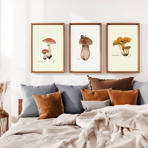 Mushroom Prints: Botanical Fungi Art, Forager Kitchen Decor (Digital Download) image 3