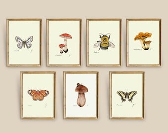 Mushroom Butterfly Prints Set: Botanical Illustration Art (Digital Download)