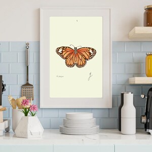 Monarch print in a white frame on a kitchen wall