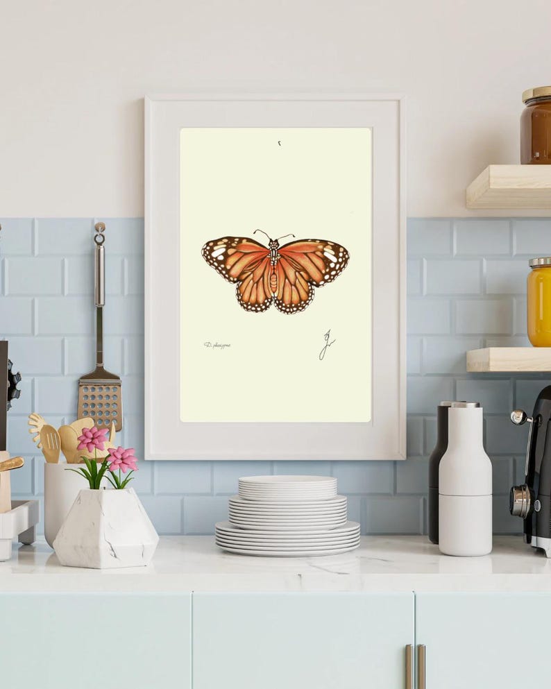 Monarch print in a white frame on a kitchen wall