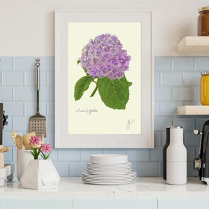 Hortensia print in a white frame on a kitchen wall