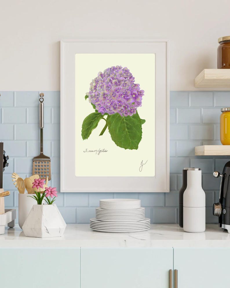 Hortensia print in a white frame on a kitchen wall