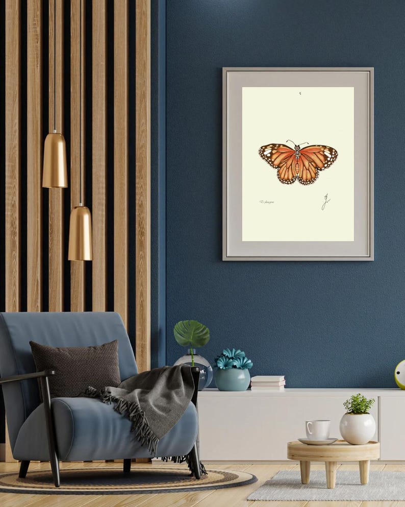 Monarch print in a white frame with passpartout hanging on a blue wall