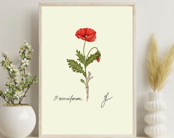 Poppy Print | Red Flower Botanical Art Digital Download