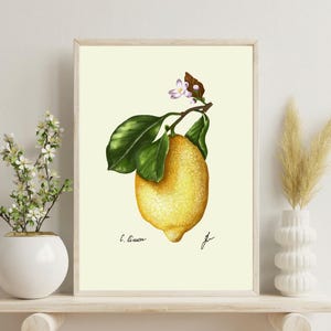 Vintage Lemon Botanical Print: Kitchen Citrus Wall Art (Digital Download)