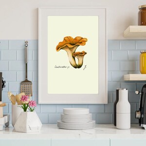 Chanterelle print in a white frame on a kitchen wall
