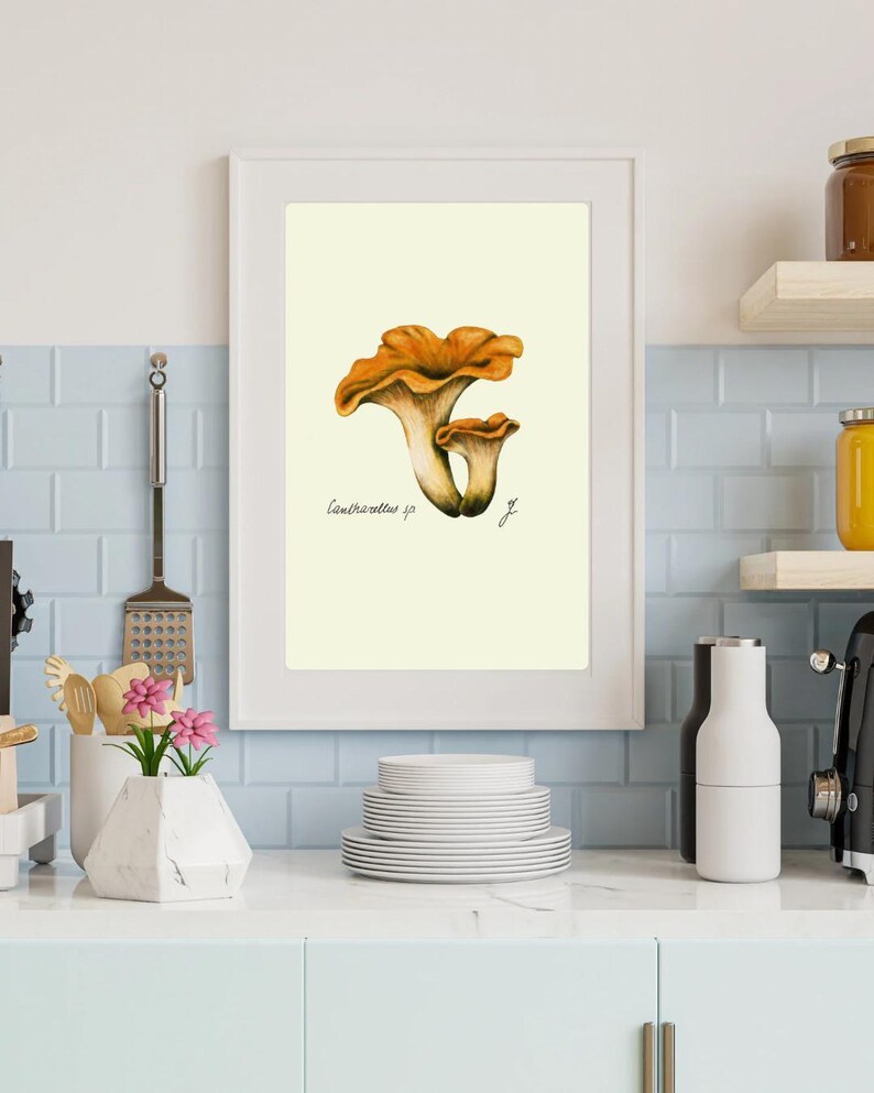 Chanterelle print in a white frame on a kitchen wall