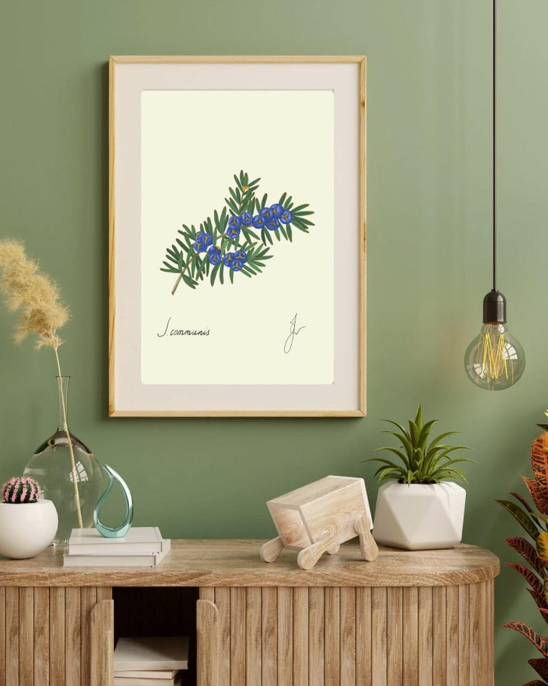 Juniper print in a wooden frame with white passpartout hanging on a green wall above the dresser