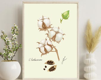Cotton Plant Print | Farmhouse Botanical Art Digital Download
