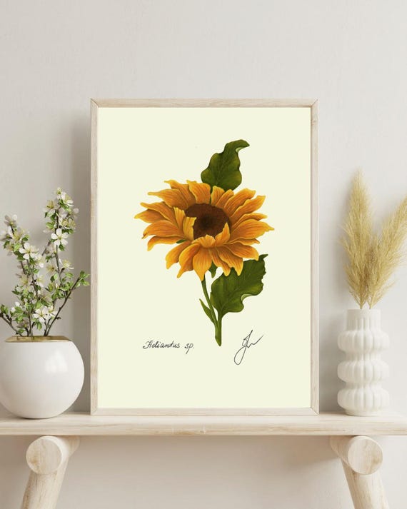 Sunflower Botanical Art Print: Vintage Floral Illustration (Digital Download)