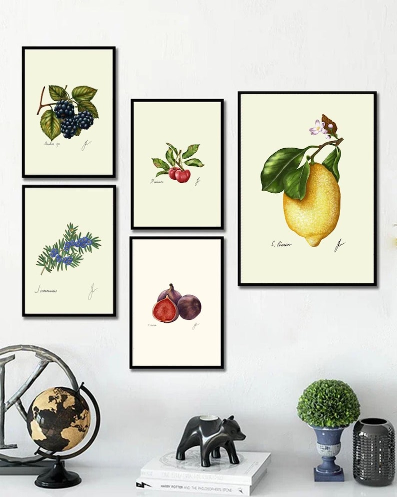Botanical Fruit Prints: Kitchen Dining Room Wall Art (Digital Download) image 4