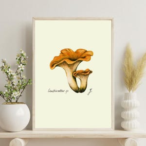 Chanterelle print on a white shelf next to two white vases and a white background