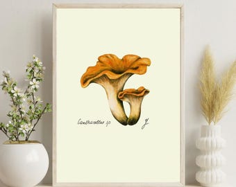 Chanterelle Mushroom Print: Vintage Botanical Fungi Illustration (Digital Download)