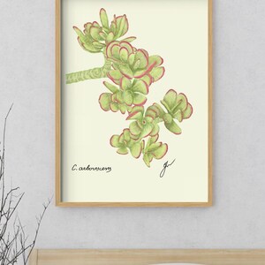 Jade print in a wooden framed print above a bed